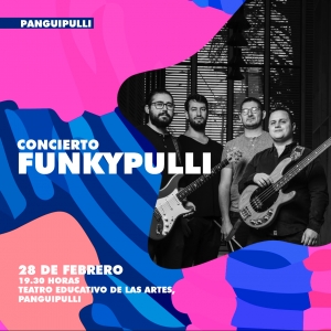 Último Concierto de Febrero en Panguipulli con el grupo musical Funkypulli