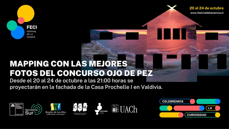 En el Festival de la Ciencia proyectarán fotografías de naturaleza sobre fachada de edificio patrimonial de Valdivia