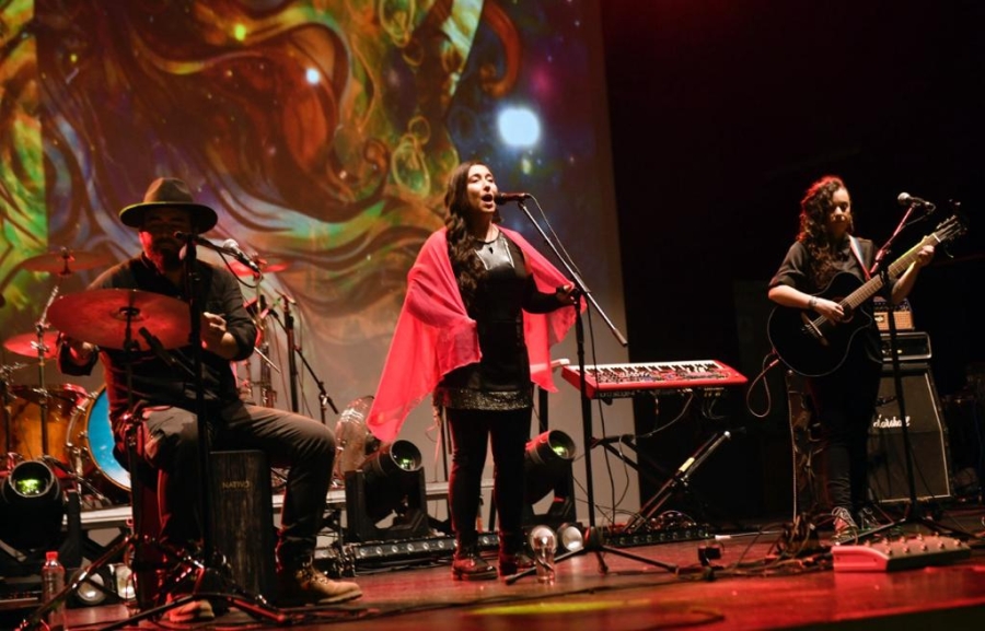 Luis Ariel Guzmán, Marcia Paredes y Yanko Súper ganan Premios Municipales de Arte en Valdivia