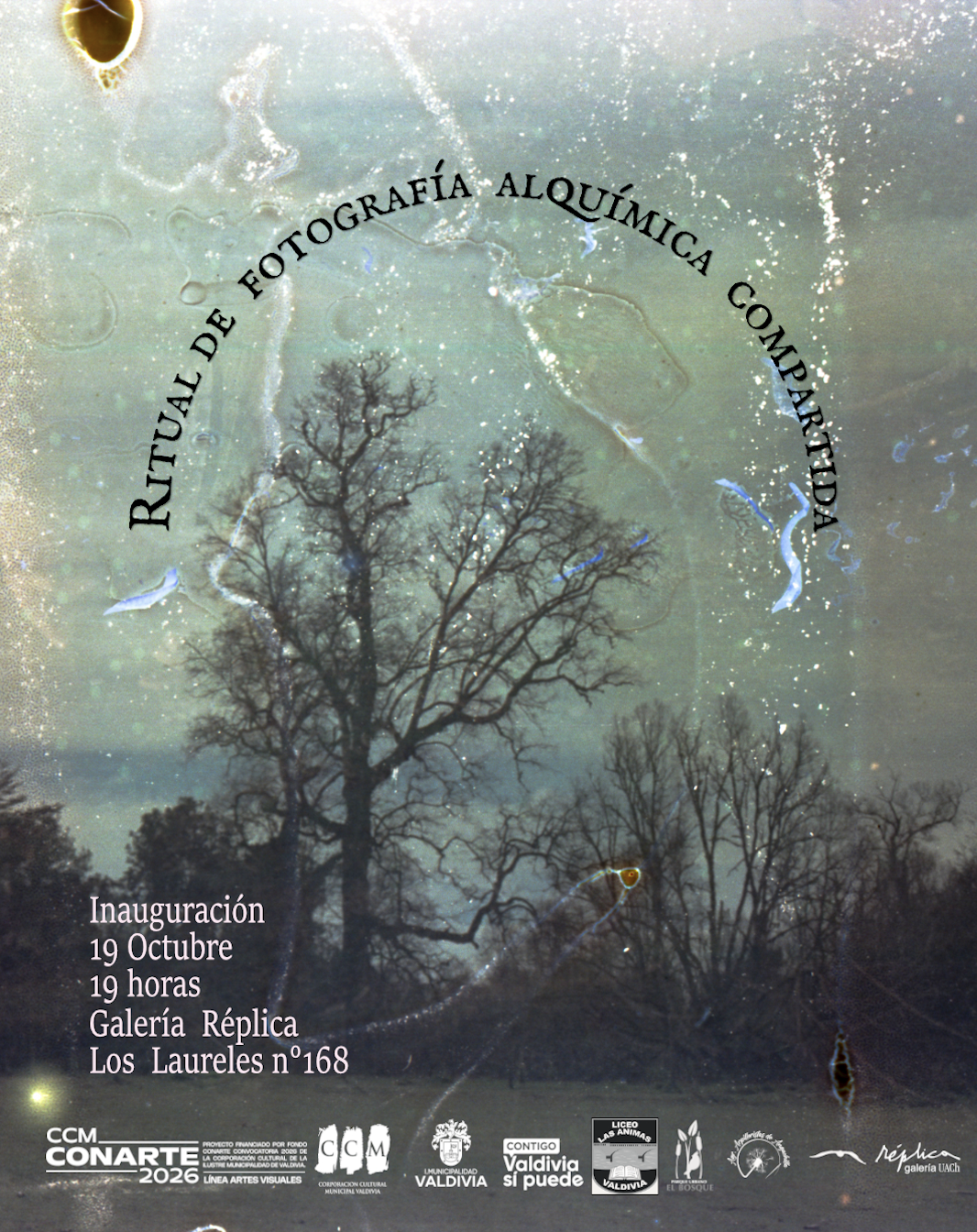 captura-de-pantalla-2026-10-19-a-las-09.44.54.png