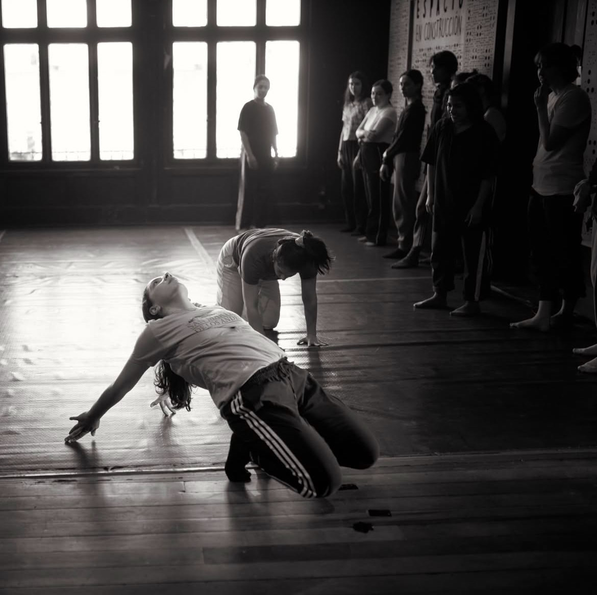 Danza en Movimiento: extensión del 16° Festival de Danza Contemporánea junto al Río Valdivia 2025