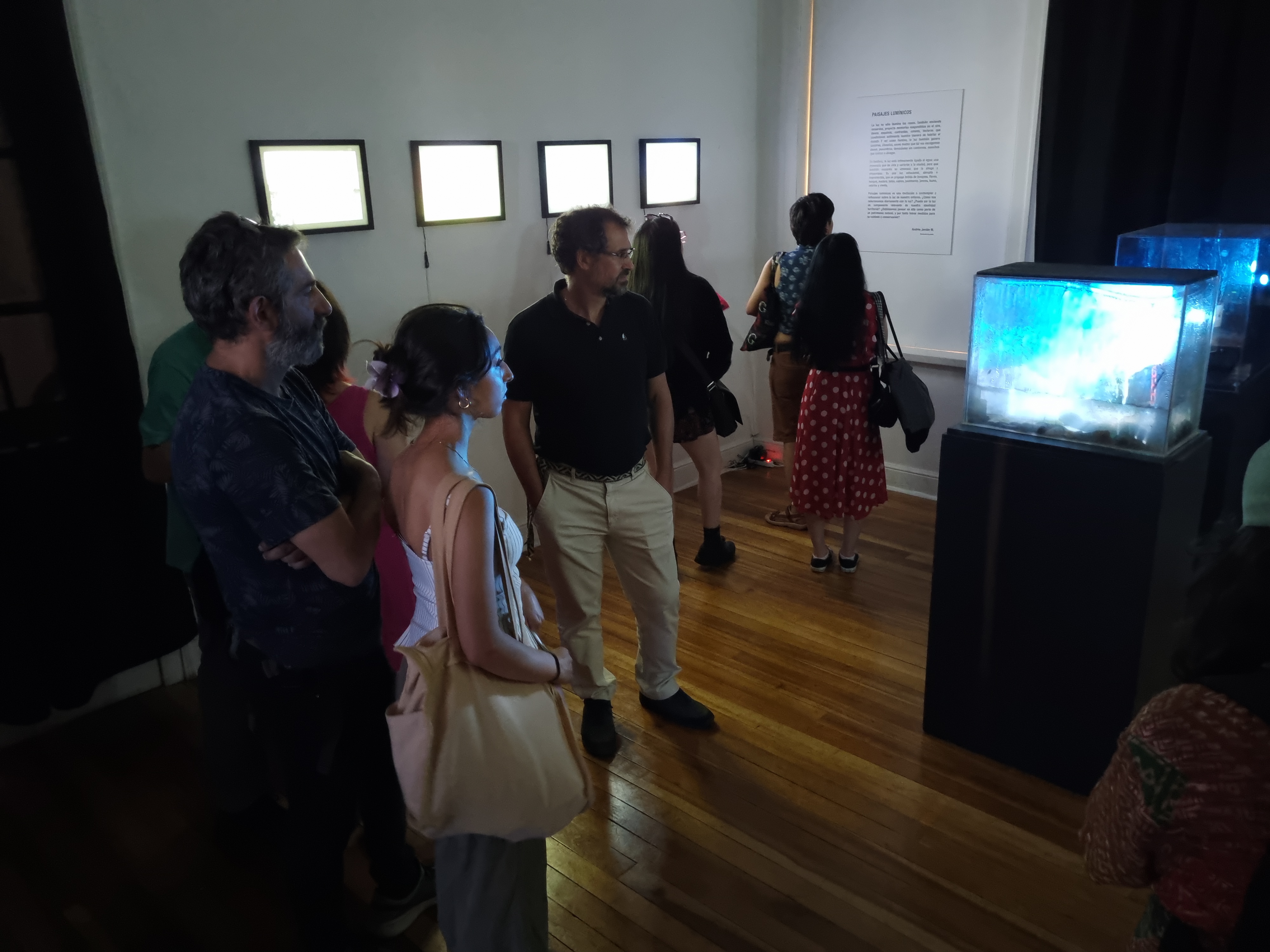 “Paisajes lumínicos” se inauguró y estará abierto al público durante todo el verano en el Campus de los Museos UACh