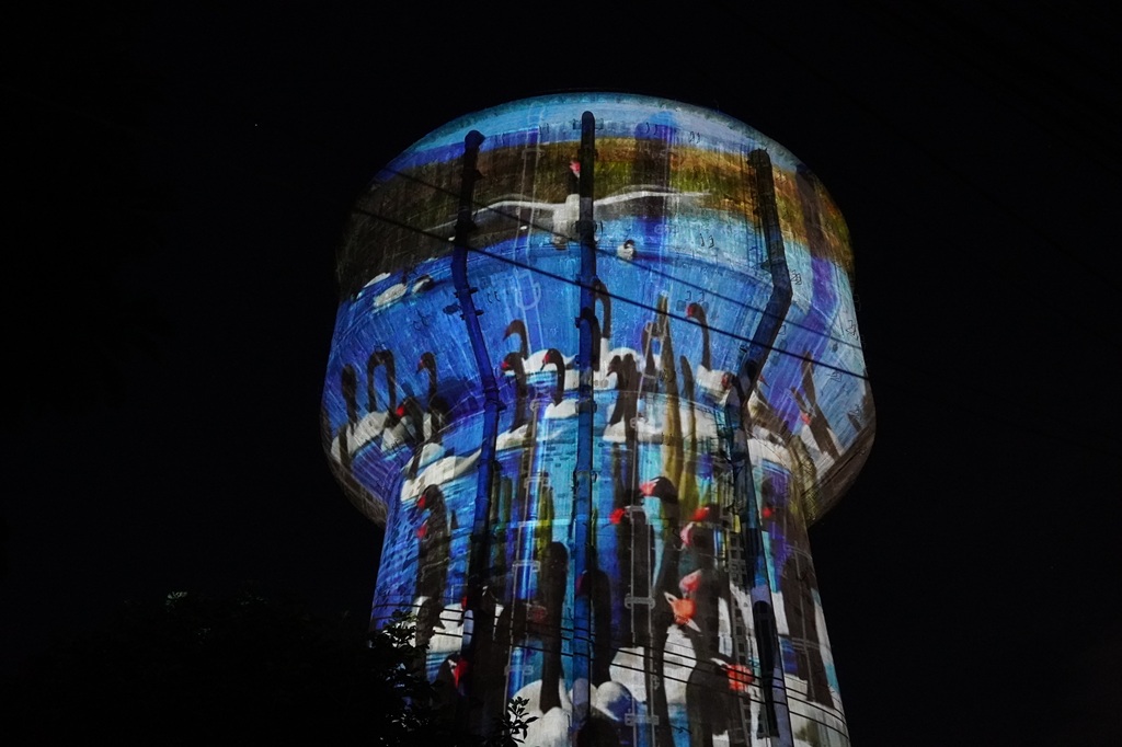 "Los Ríos Territorio Visual" anuncia su septenio con enfoque curatorial en la memoria de las aguas